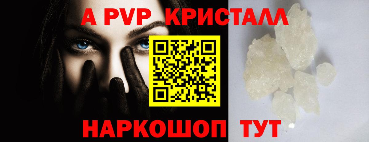 A-PVP СК КРИС Сыктывкар