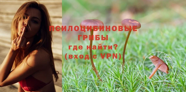 МДПВ Зеленокумск
