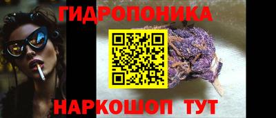шишки Моздок