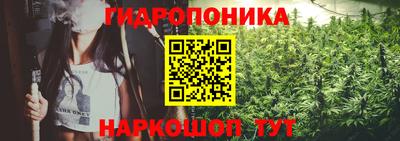 спайс Будённовск