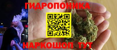 шишки Моздок