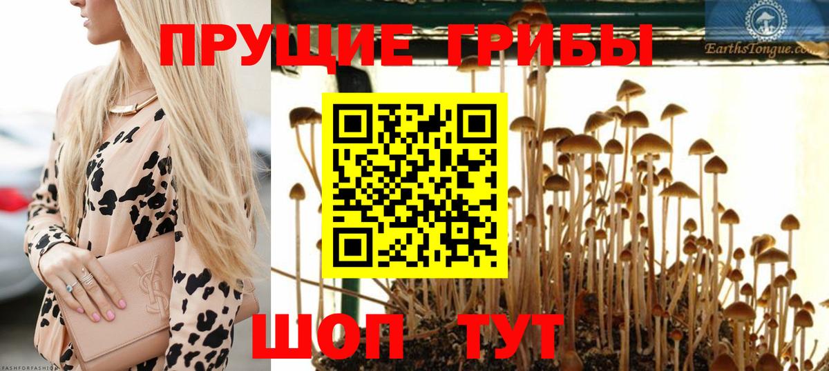 Псилоцибиновые грибы MAGIC MUSHROOMS  Вход с VPN  Сыктывкар 