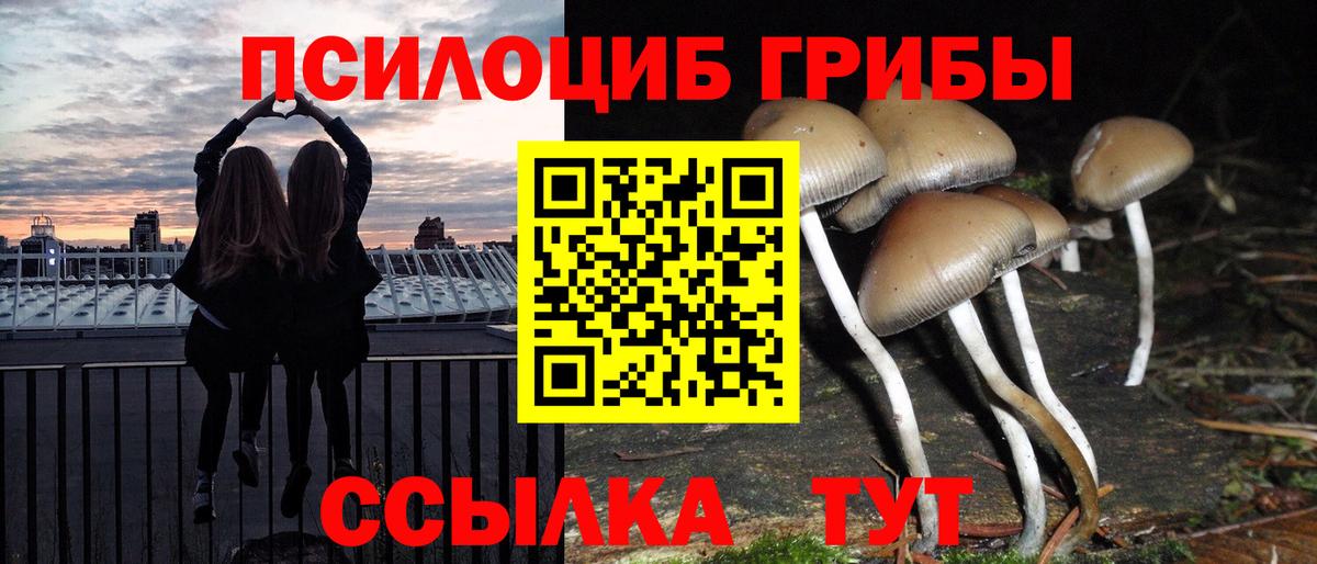 Галлюциногенные грибы Magic Shrooms Сыктывкар